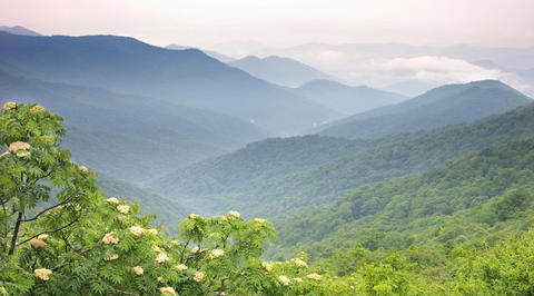 Aerial image of large green woodland area in Smoky Mountains